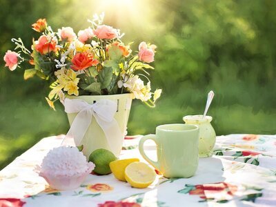 Drie tips bij de styling van je tuin (Tuinnieuws)