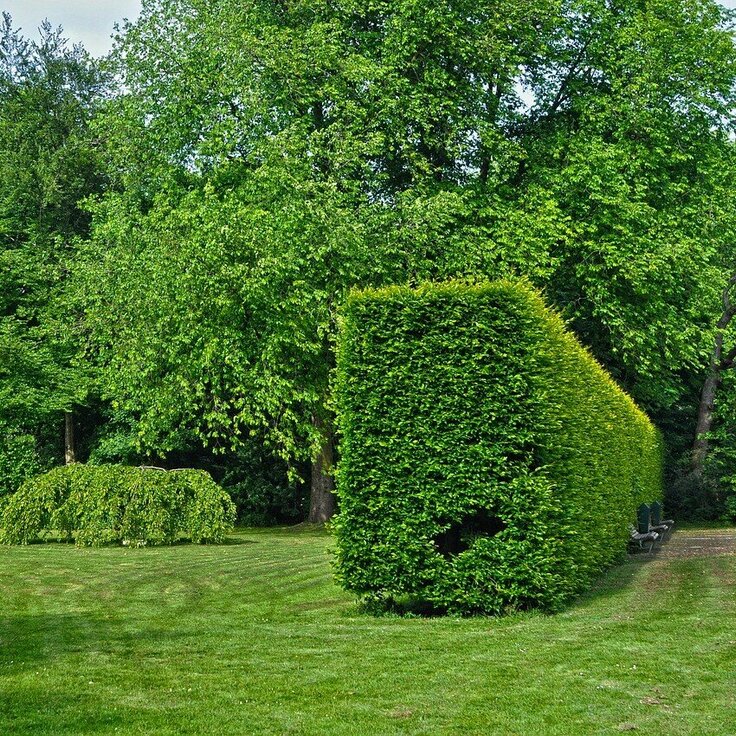 Stijlvolle schutting voor privacy en een tuin met uitstraling