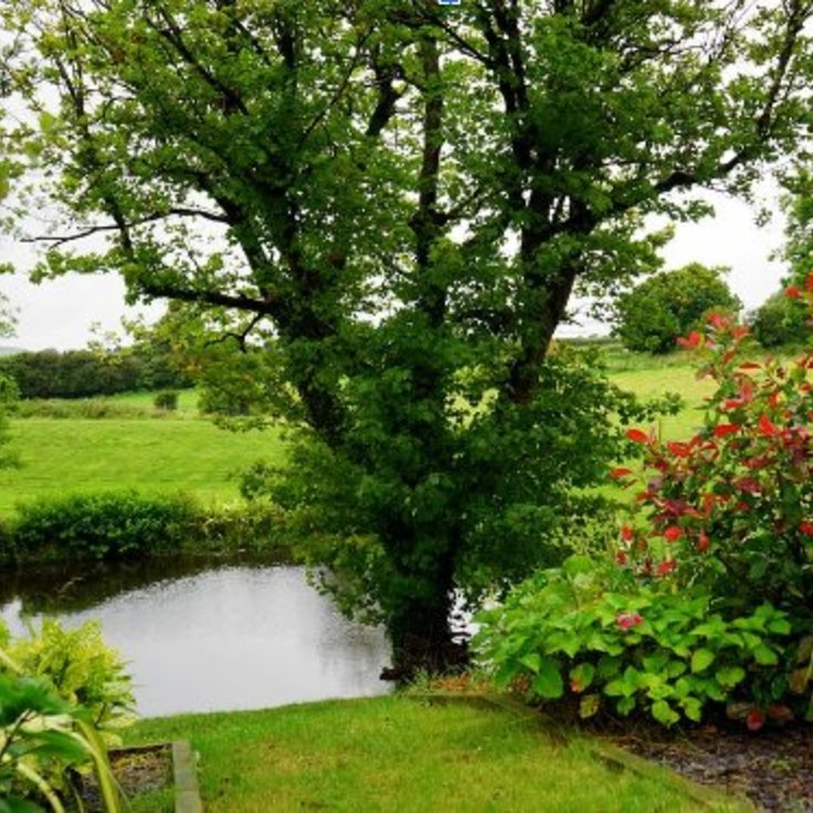 Wonen met de tuin aan het water: De voor- en nadelen van een tuin aan het water (Tuinnieuws)