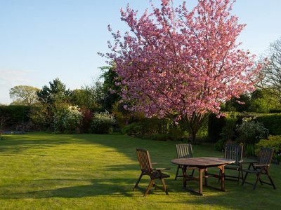 Hoe maak ik mijn tuin zomerklaar? (Tuinnieuws)