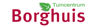 Zonnebloemen van de familie Borghuis (Tuinnieuws)
