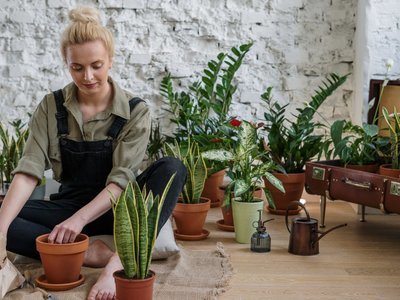 Voorbereiden op een tuinier event (Do It Yourself)