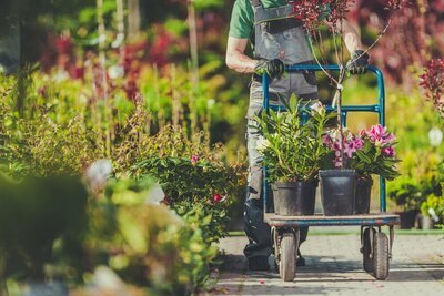 Tuinnieuws januari 2019 (Tuinnieuws)