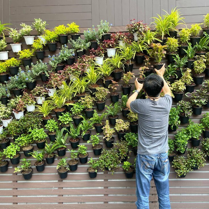 10 Geweldige Verticale Tuinideeën voor Jouw Buitenshuis