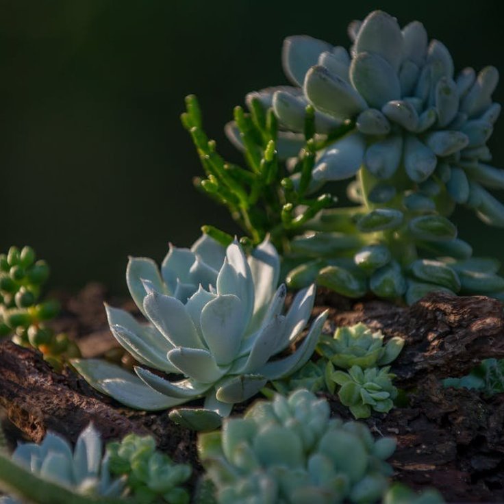 Eigenaar van een tuincentrum? Zo krijg je grip op je planning! (Tuinnieuws)