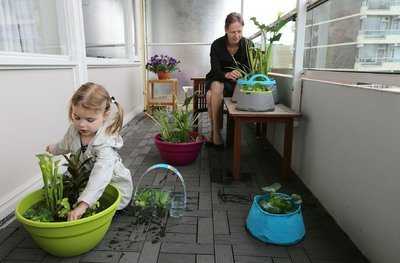 Vijver zonder tuin (Vijver)