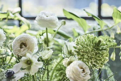 De bloemen van maart: voorjaarsbloemen (Tuinnieuws)