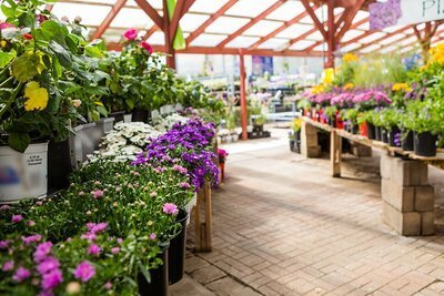 Wandelen door de prachtige tuincentra van Nederland (Tuinnieuws)