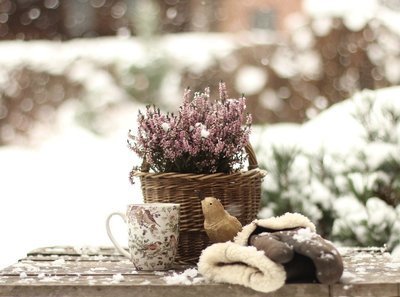 Zo kun je ook in de winter van jouw tuin genieten (Terras en verlichting)