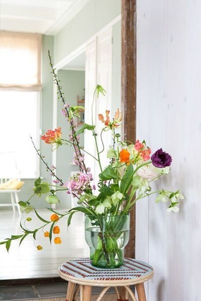 Deze zomerbloemen maken jouw zomer compleet (Tuinnieuws)