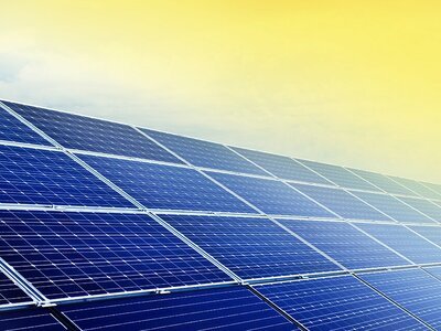 Energie besparen in huis met jouw tuin (Tuinnieuws)