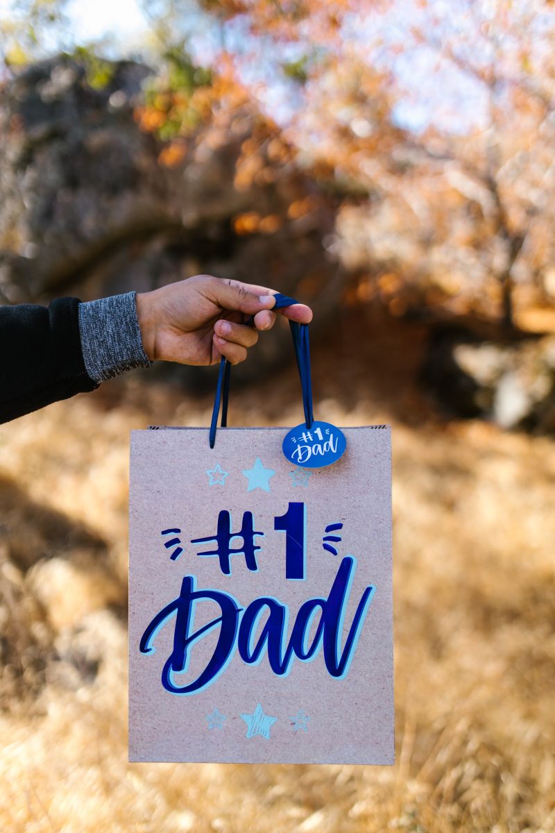 Father's Day gift bag