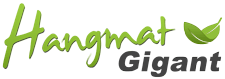 Logo Hangmatgigant.nl
