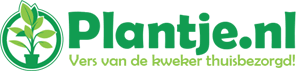 Logo tuincentrum Plantje.nl