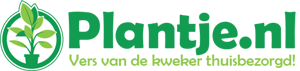Logo Plantje.nl