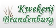 Logo Kwekerij Brandenburg