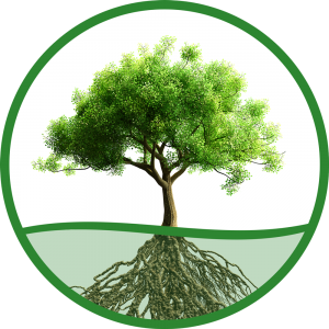 Logo Olijfje het Groene Hart