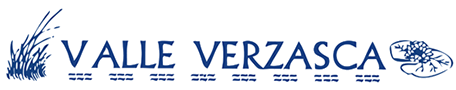 Logo Valle Verzasca
