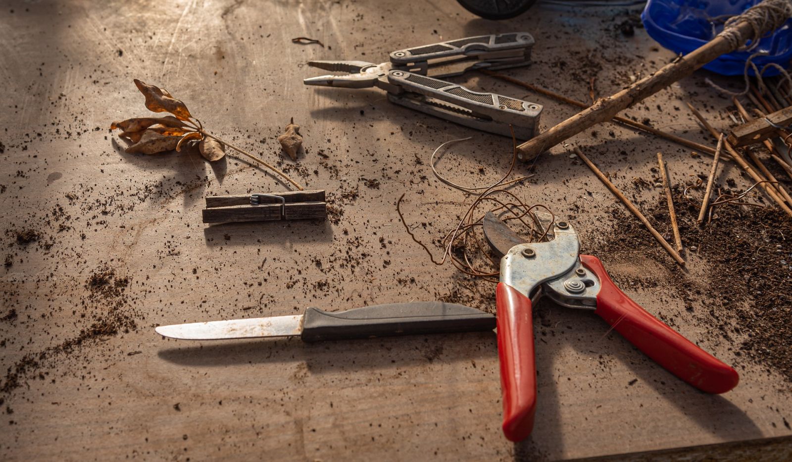 Garden tools on a table