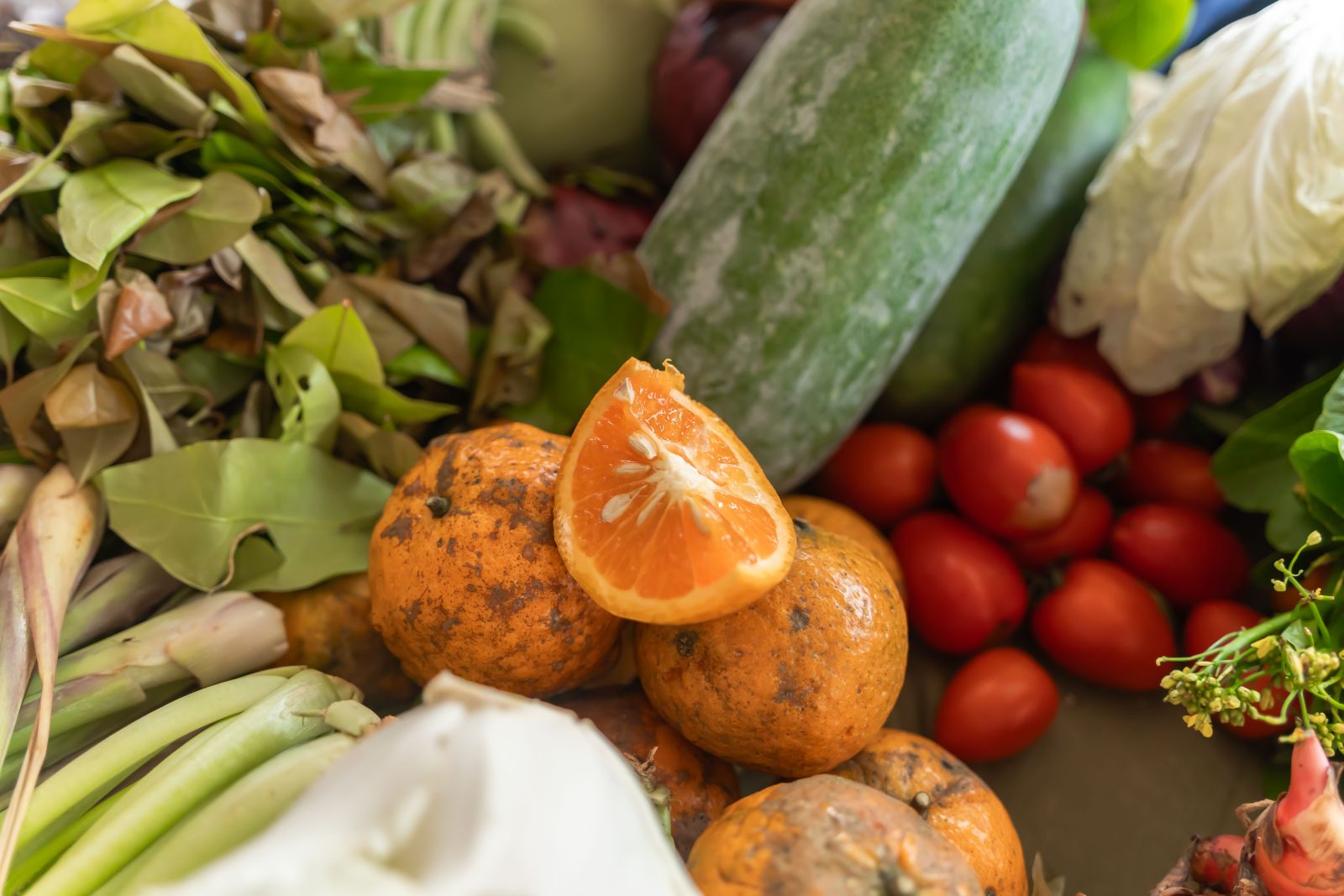 Groente-En-Fruit-Zelf-Kweken
