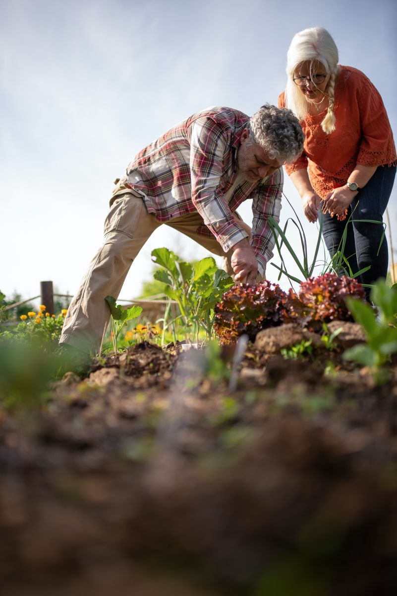 Man and women working in the garden