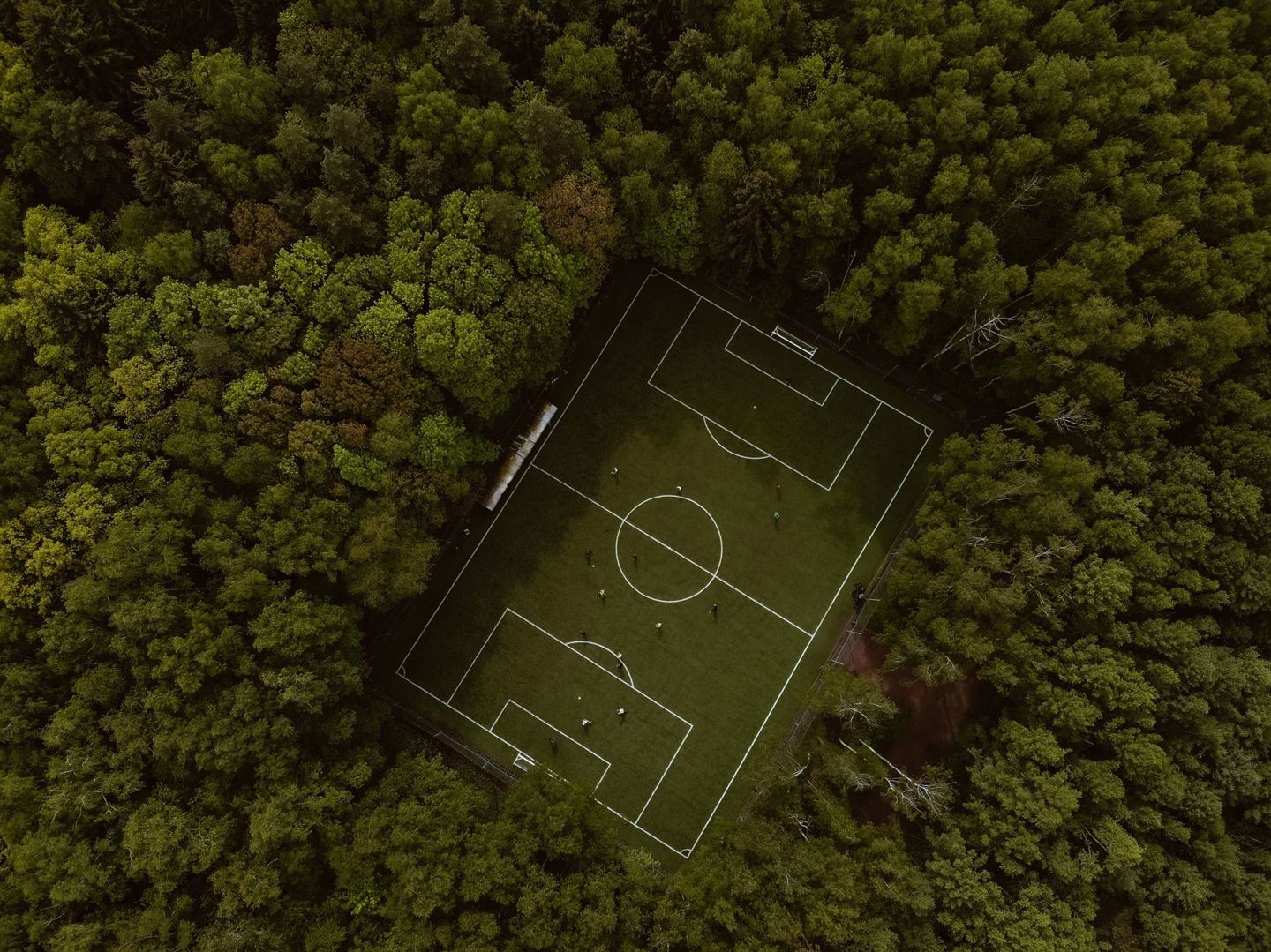 nature-inspired game