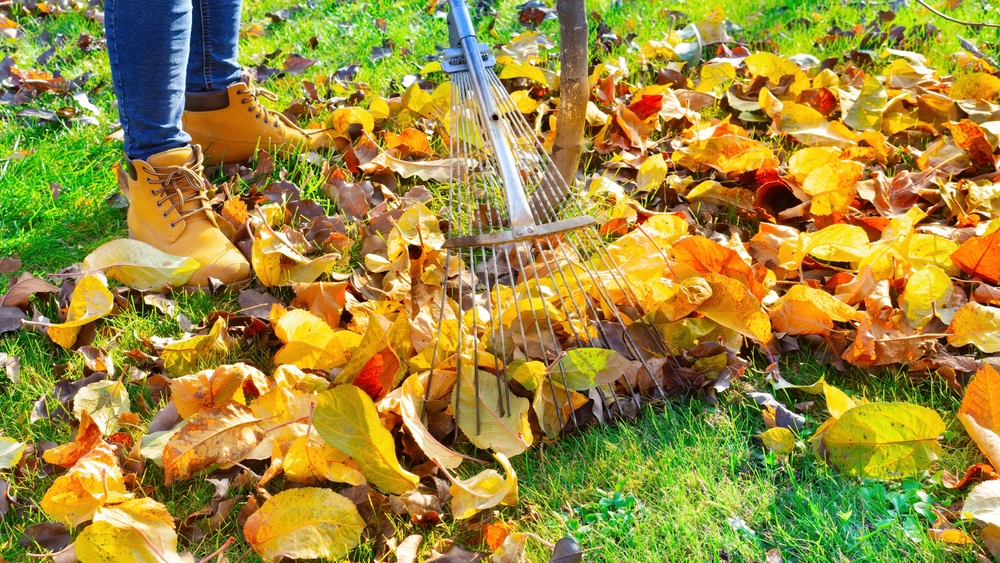 November tuin herfstbladeren