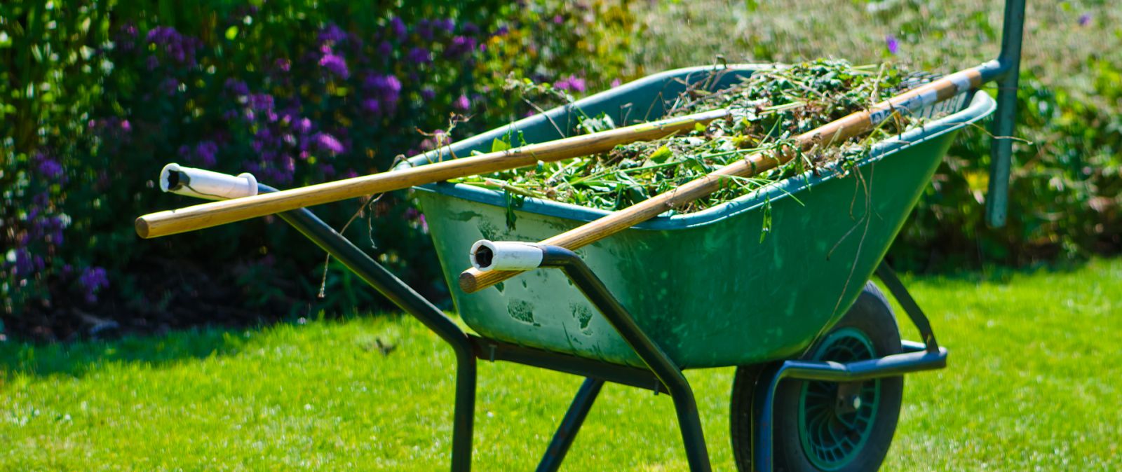 Onderhoud in de tuin in Maart