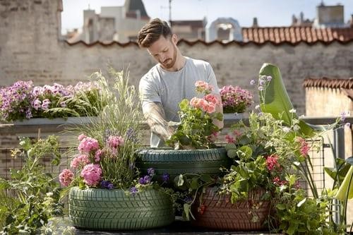 Plants in auto tires