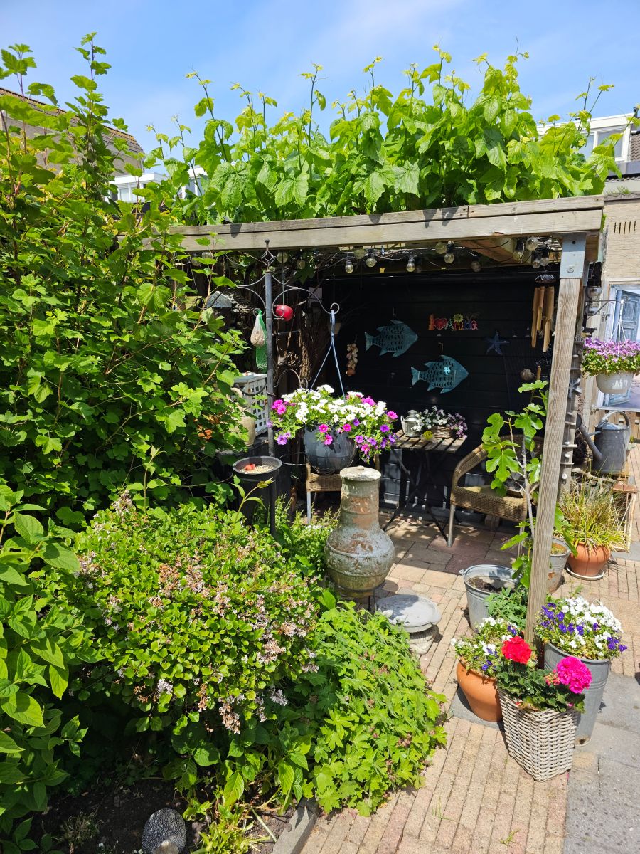 Small-Garden-Gardencentreguide.ie