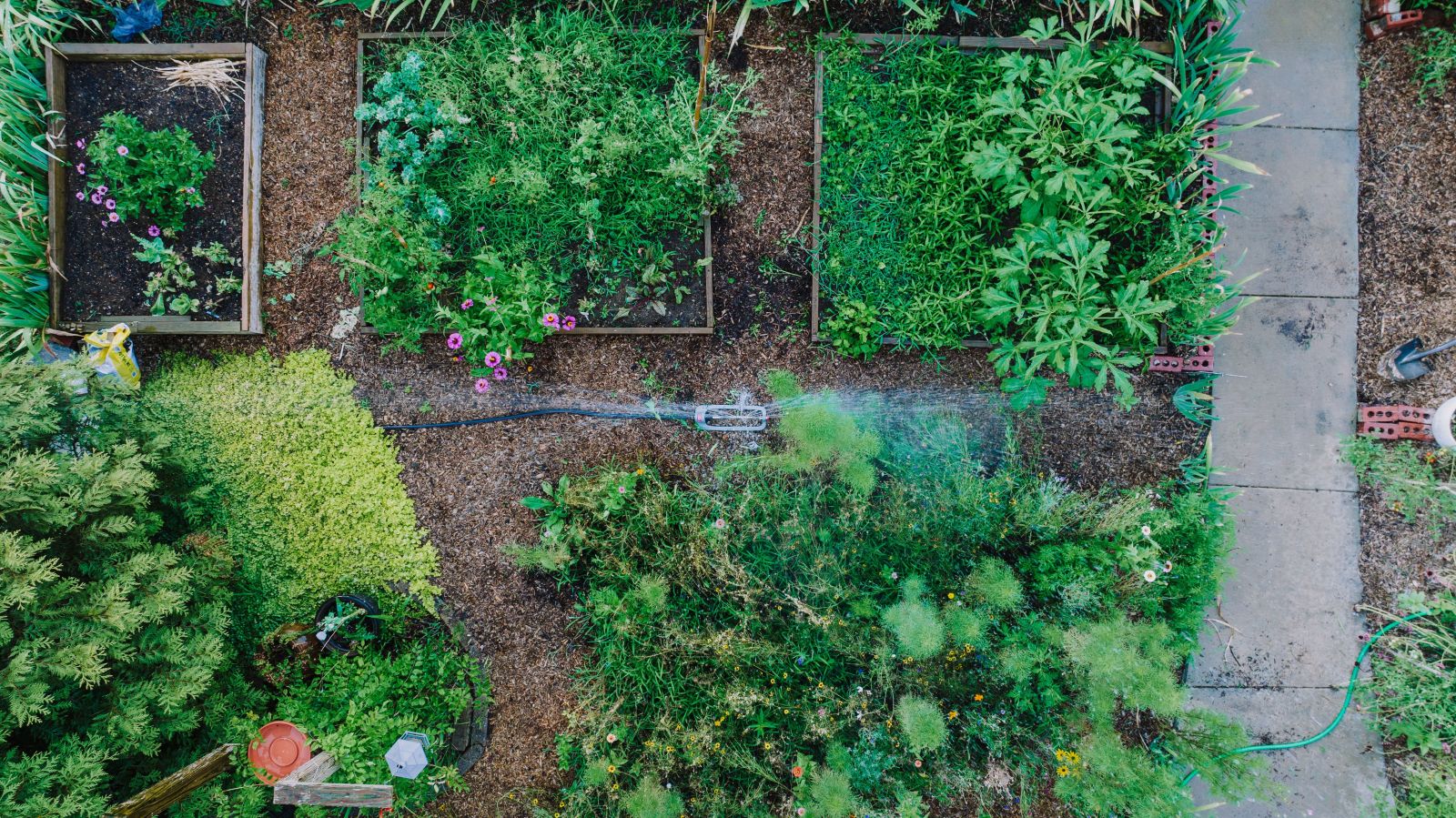 smart-irrigation-garden