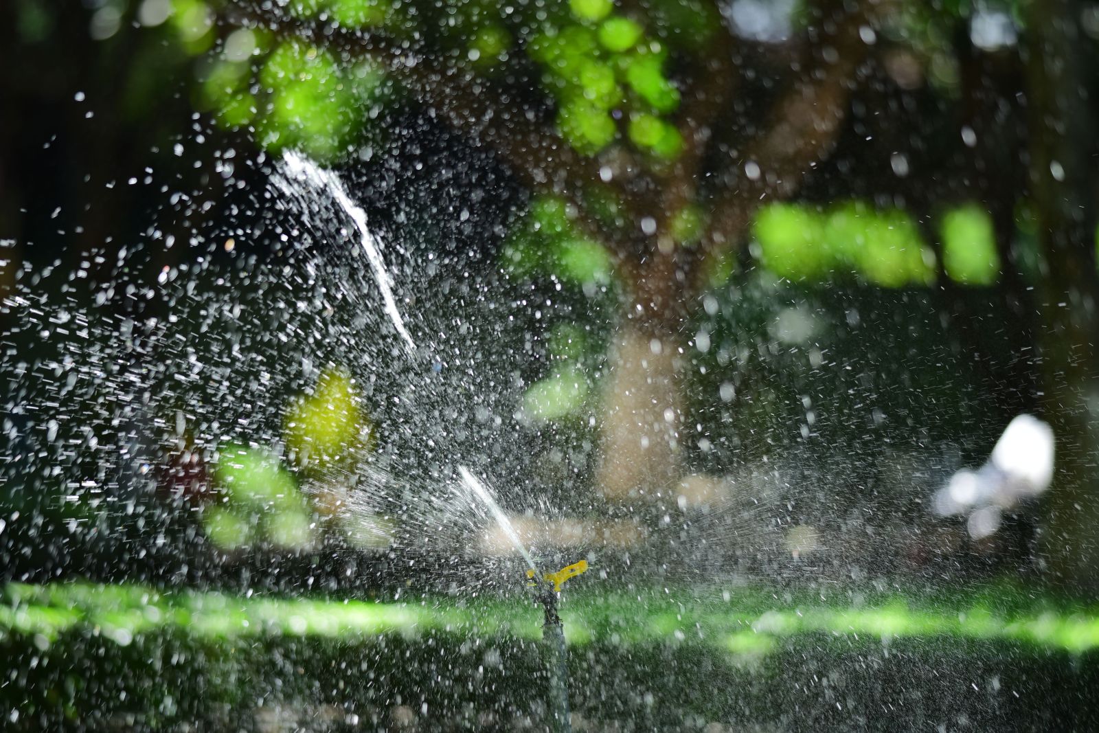 Sproeier in de tuin