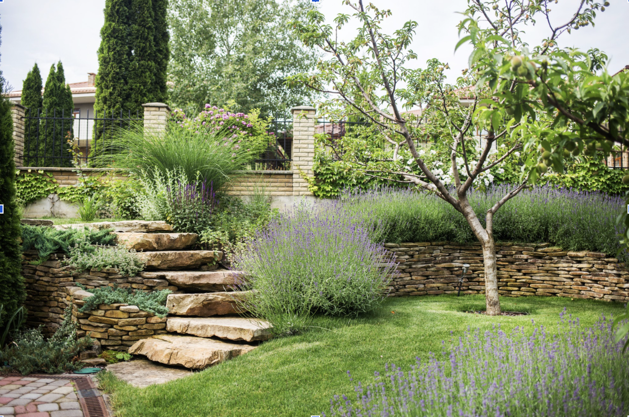 Therapeutic Gardens - Gardencentreguide.ie