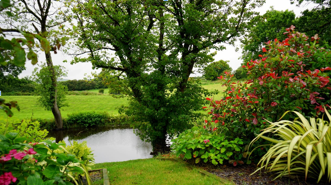 Tuin aan het water