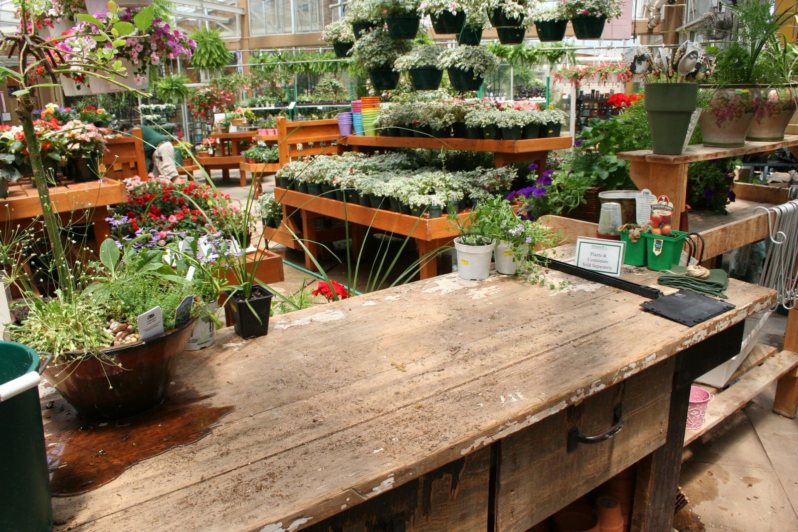 Banstead Garden Centre Guide