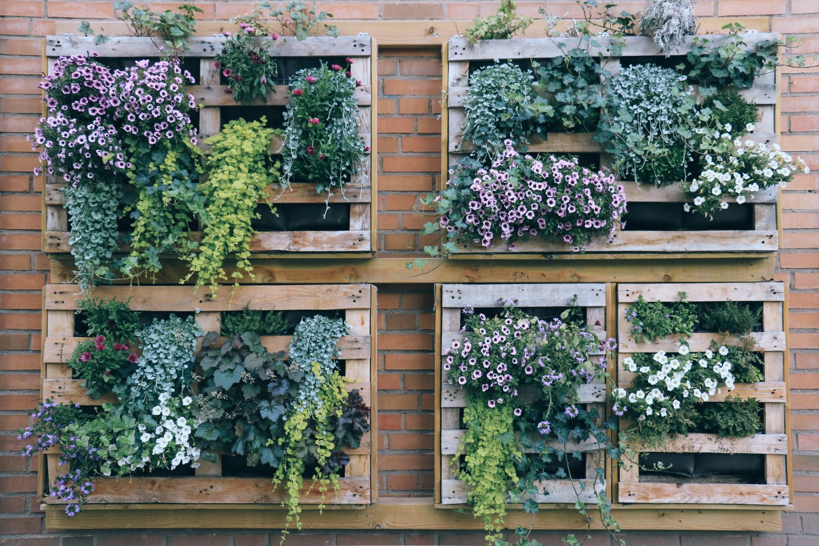 Vertical garden with greenery