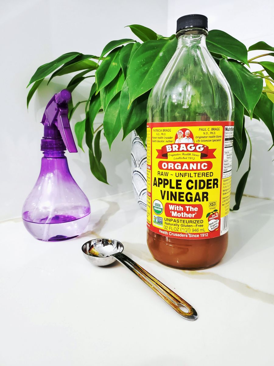 A vinegar bottle, a plant, and a plantspray